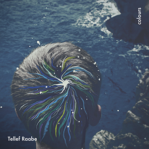 cover
tellef raabe colours